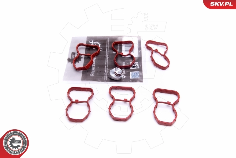 Repair Kit, intake manifold module